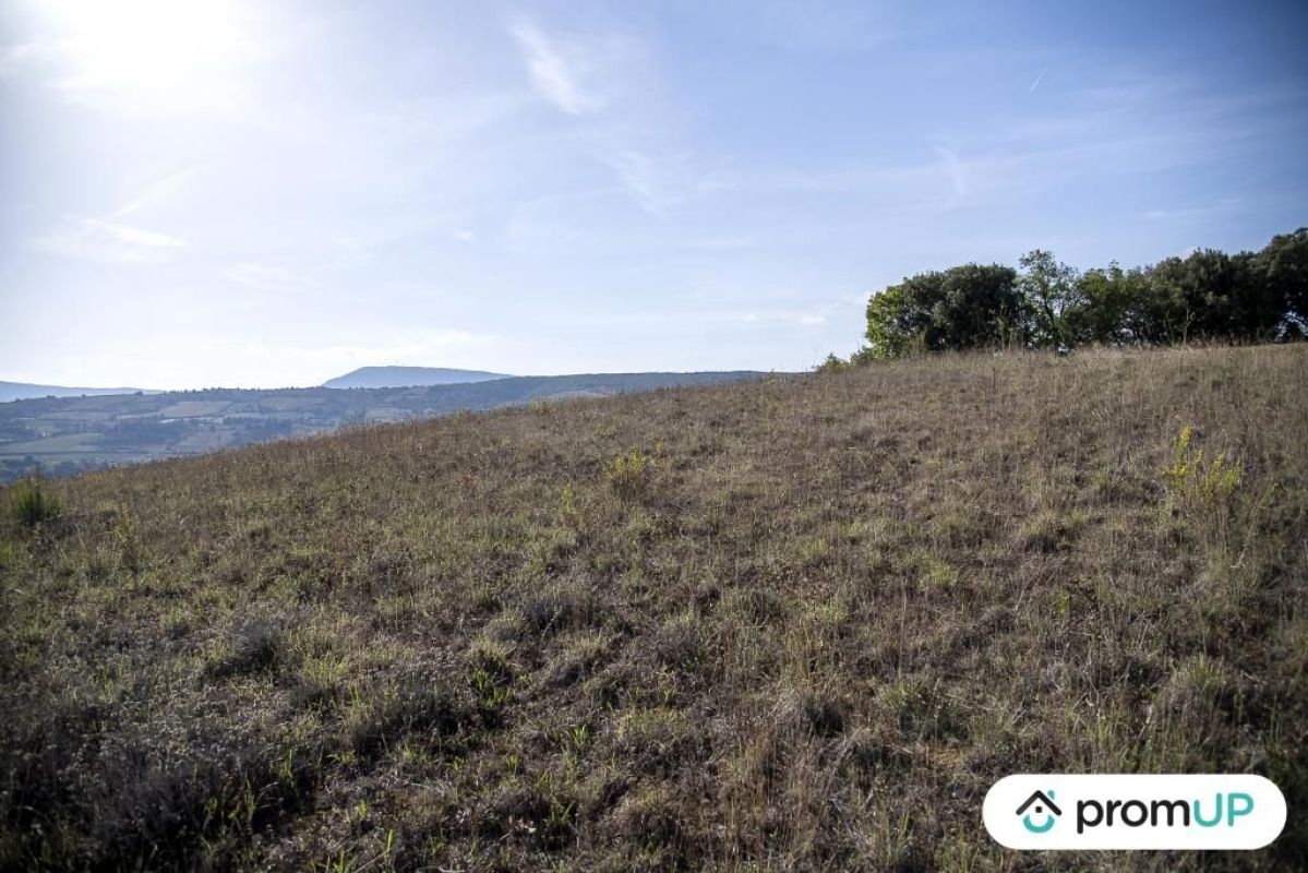 5.jpg-cote_littoral_464291