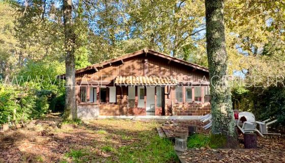 A vendre charmante maison en bois 53 m² 4 pieces Carcans