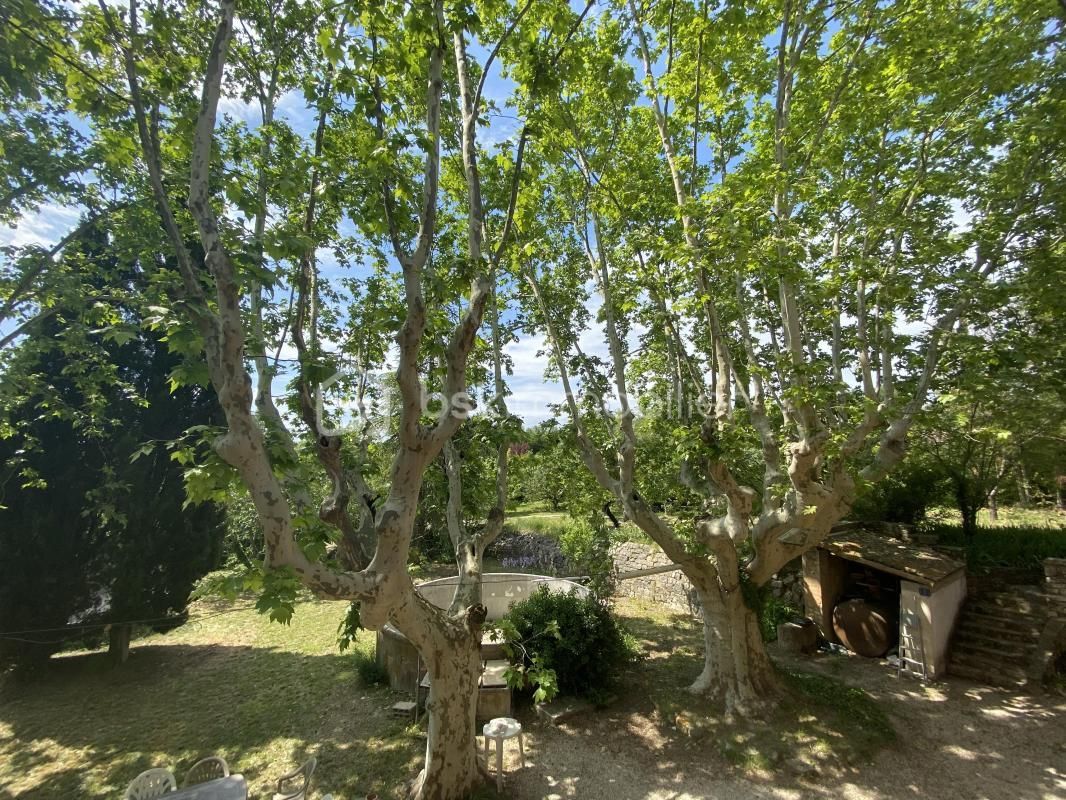 2.jpg-cote_littoral_464291