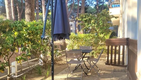 A louer APPARTEMENT T2 32 M2 TERRASSE BORD DE MER ARGELES SUR MER