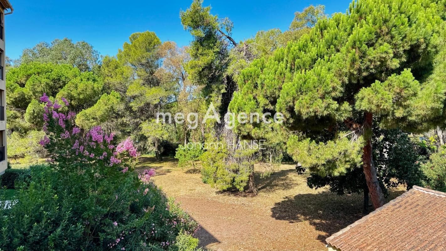 6.jpg-cote_littoral_464291