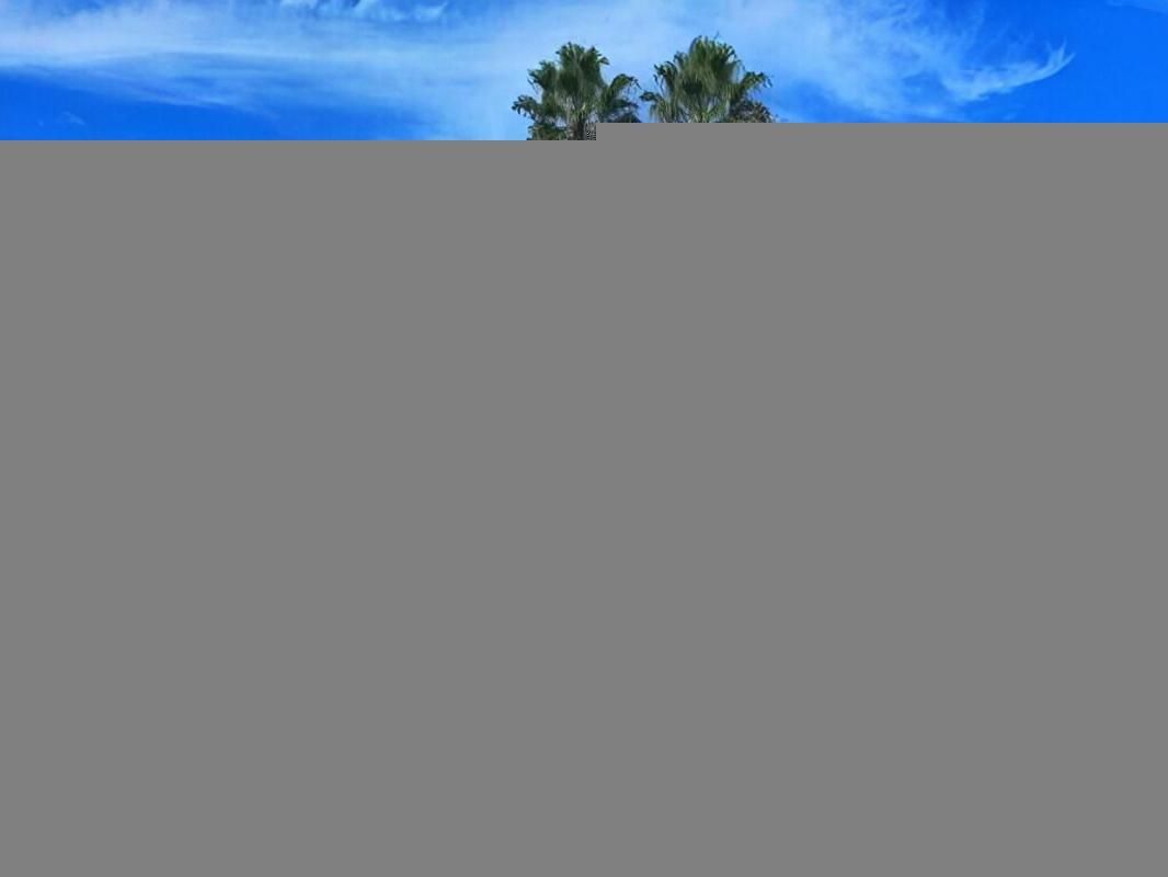 1.jpg-cote_littoral_464291