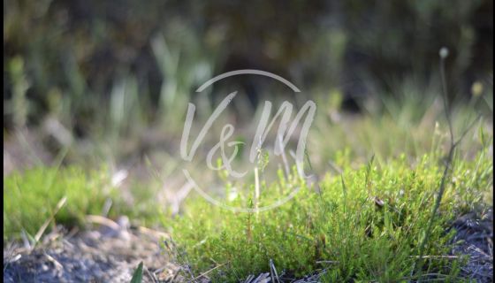 A vendre terrain constructible 843 m² Andernos-les-Bains