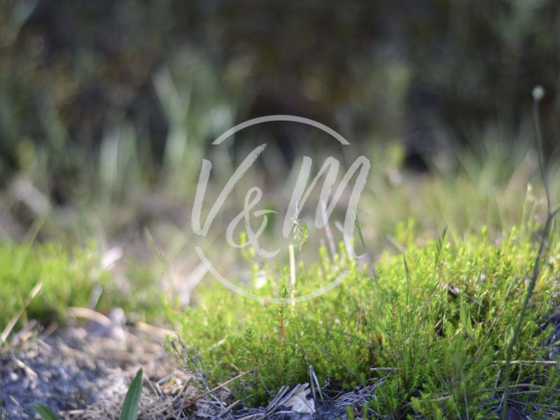 A vendre terrain constructible 843 m² Andernos-les-Bains