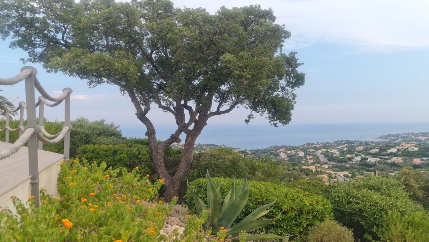 4.jpg-cote_littoral_464291
