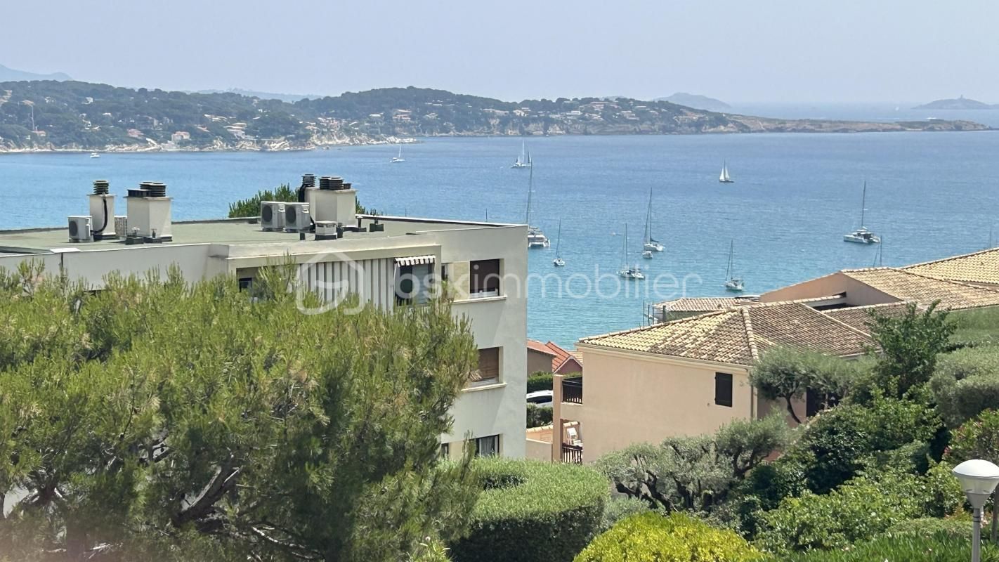 5.jpg-cote_littoral_464291