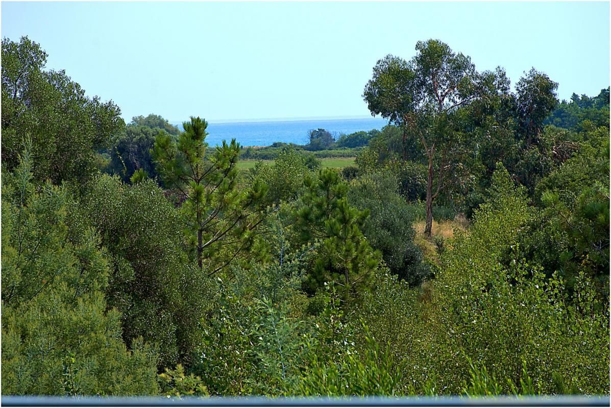 2.jpg-cote_littoral_464291