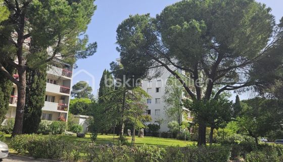 A louer STUDIO  31 M2 TERRASSE  MONTPELLIER