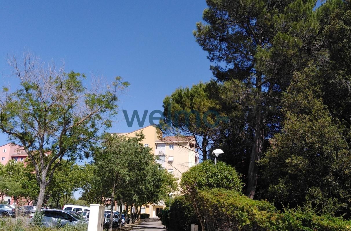 7.jpg-cote_littoral_464291