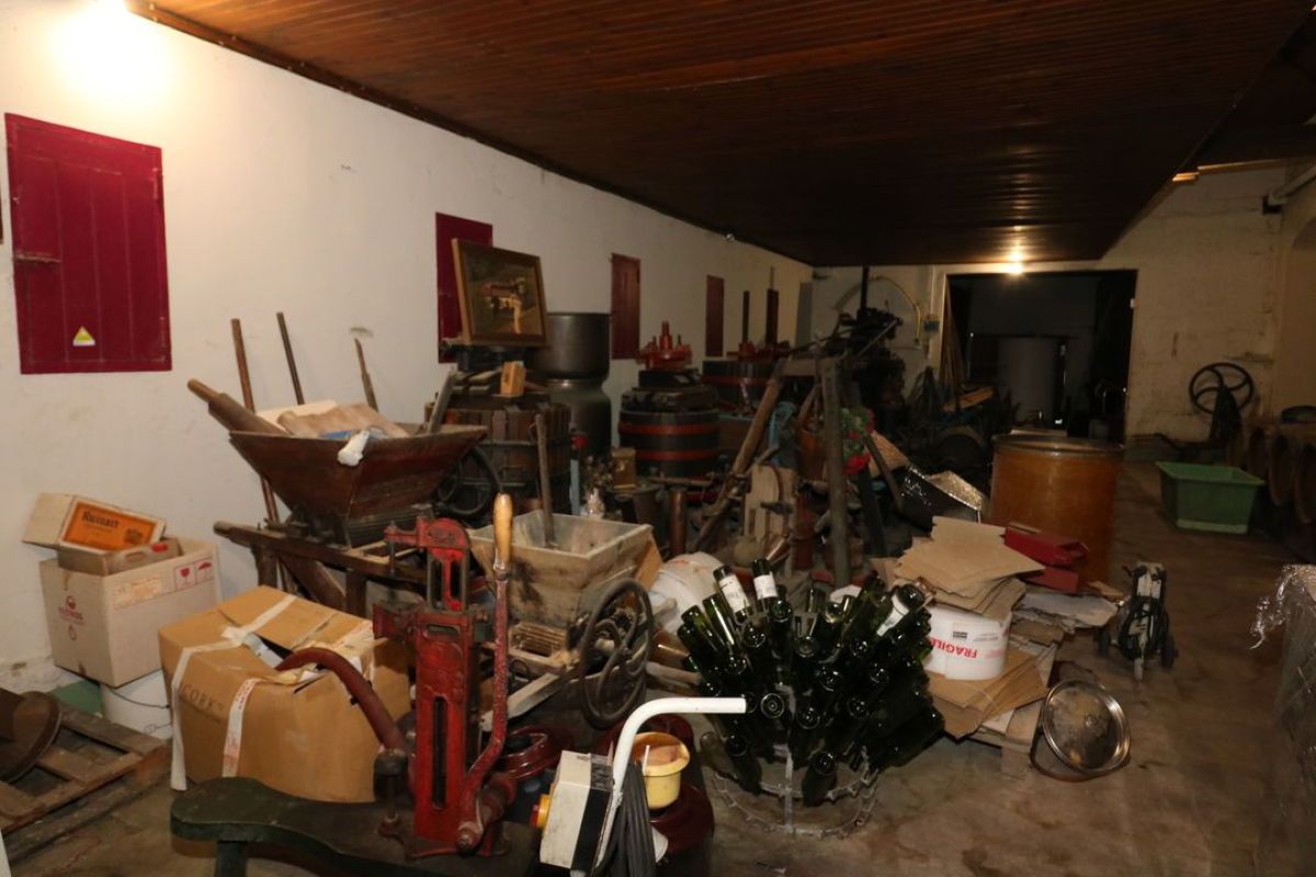 5.jpg-cote_littoral_464291