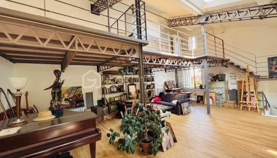 A louer LOFT  CONTEMPORAINE  VILLELONGUE DE LA SALANQUE