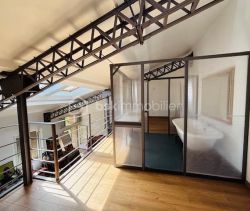 A louer LOFT  CONTEMPORAINE  VILLELONGUE DE LA SALANQUE