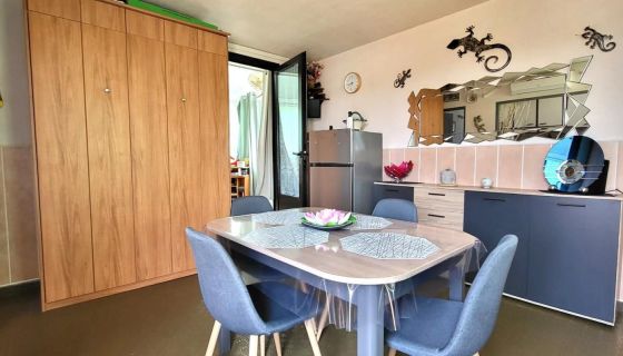 APPARTEMENT T2 37 M2 TERRASSE BORD DE MER LE BARCARES