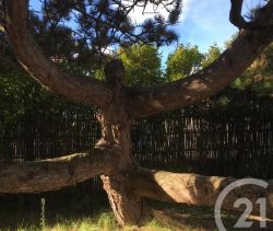 A louer MAISON  8 PIECES 155 M2 BORD DE MER CAMIERS