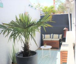 A vendre MAISON  2 PIECES 44 M2 BORD DE MER SAINT GILLES CROIX DE VIE