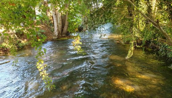 A vendre TERRAIN 2 540 M2  TORCY LE PETIT