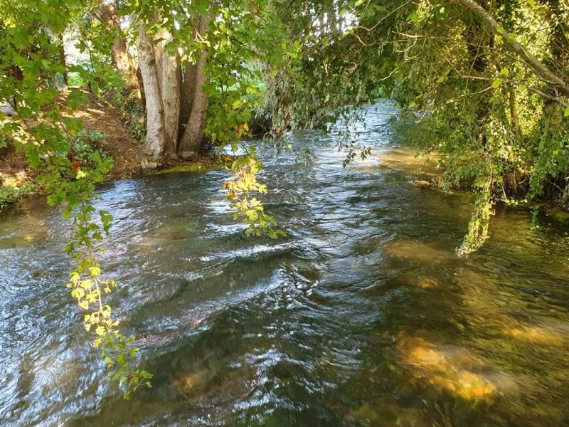A vendre TERRAIN 2 540 M2  TORCY LE PETIT