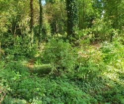 A vendre TERRAIN 2 540 M2  TORCY LE PETIT