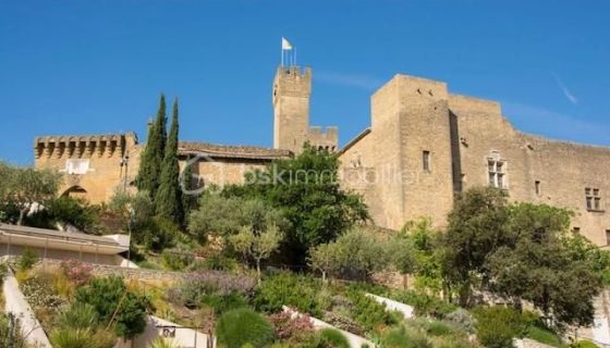 A louer APPARTEMENT DUPLEX DE PRESTIGE T6 154 M2 TERRASSE  SALON DE PROVENCE