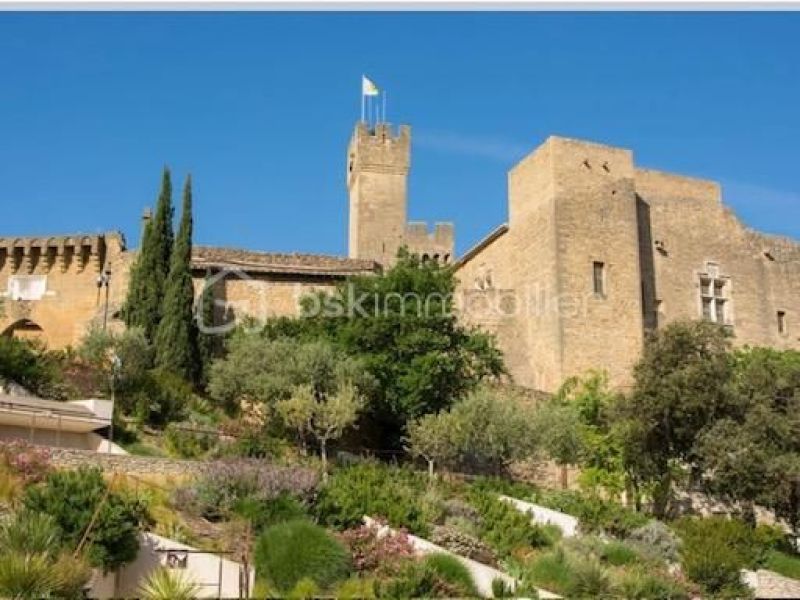 A louer APPARTEMENT DUPLEX DE PRESTIGE T6 154 M2 TERRASSE  SALON DE PROVENCE