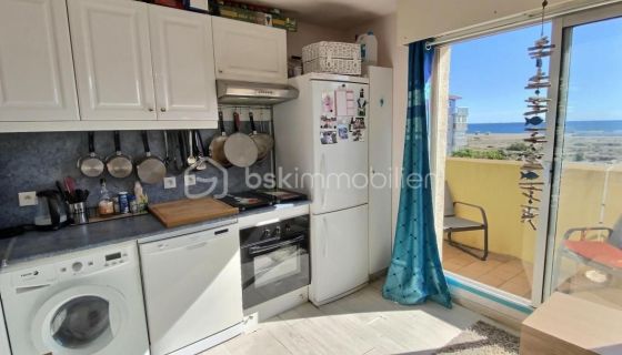 A louer APPARTEMENT T2 20 M2 TERRASSE VUE MER LE BARCARES