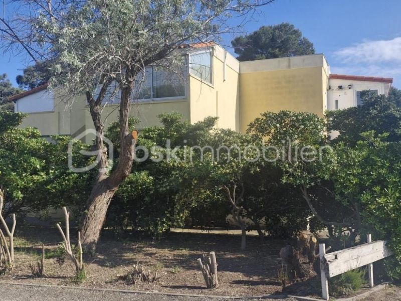 A louer APPARTEMENT T2 28 M2 PIEDS DANS L'EAU LE BARCARES