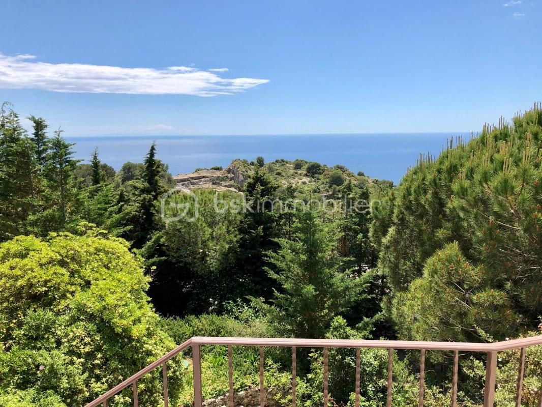 2.jpg-cote_littoral_464291