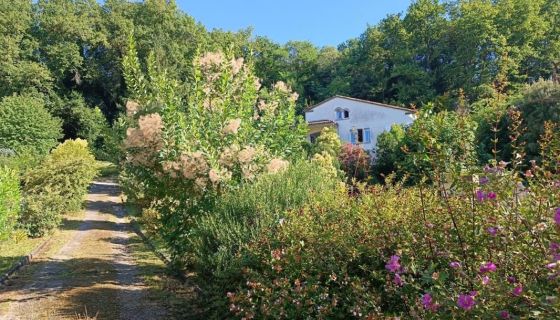 A louer MAISON  DE MAîTRE  TABANAC