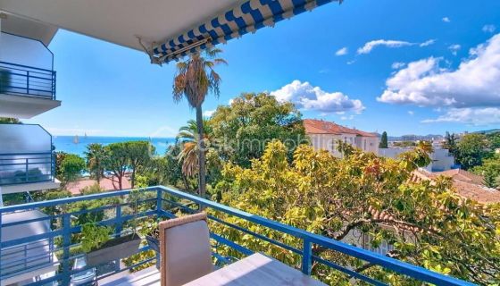 A louer STUDIO  33 M2 VUE MER CANNES
