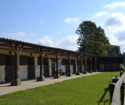 A vendre Maison de maitre avec centre équestre proche de Veules les roses (76)