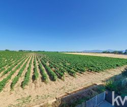 APPARTEMENT T3 57 M2  PERPIGNAN