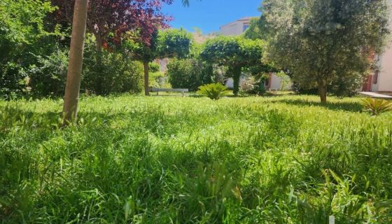 APPARTEMENT T3 70 M2 TERRASSE  PERPIGNAN
