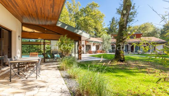 A vendre MAISON  13 PIECES 358 M2  SAUBION Forêt
