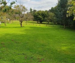 A vendre MAISON  DE MAITRE  SAINT AUBIN LE CAUF