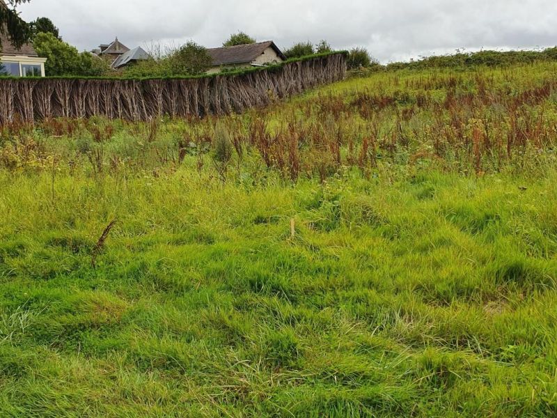 A vendre TERRAIN 1 435 M2  VIEUX MANOIR