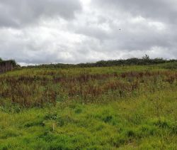 A vendre TERRAIN 1 435 M2  VIEUX MANOIR