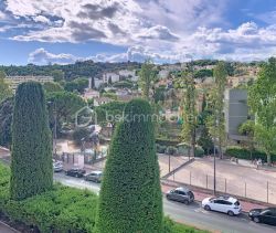 A louer APPARTEMENT T2 54 M2 TERRASSE BORD DE MER CANNES
