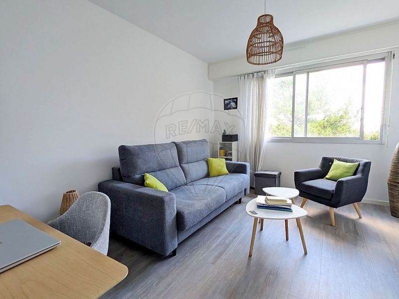 A louer STUDIO  19 M2 BORD DE MER VAUX SUR MER
