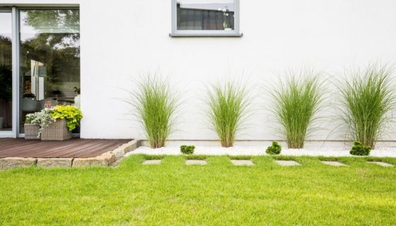 A louer APPARTEMENT NEUF T4 80 M2 TERRASSE  CASTRIES