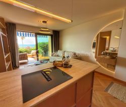A louer APPARTEMENT DE PRESTIGE T2 40 M2 TERRASSE VUE MER CANNES