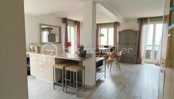 A louer APPARTEMENT T2 48 M2 TERRASSE VUE MER CANNES