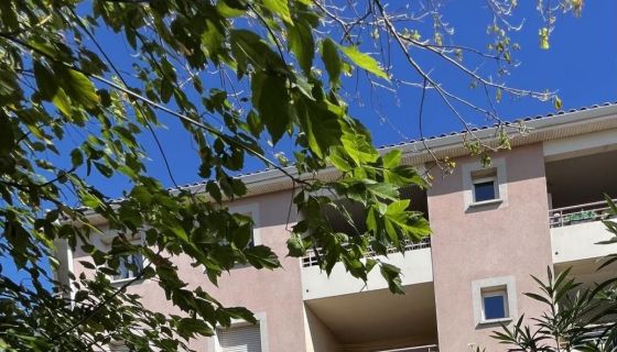 A louer APPARTEMENT T2 37 M2 TERRASSE BORD DE MER AGDE