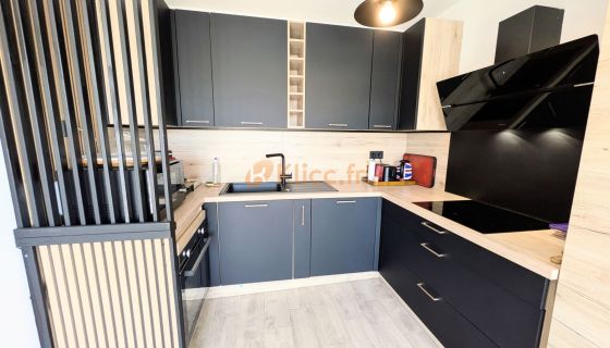 A vendre APPARTEMENT T2 RECENT 48 M² Cannes