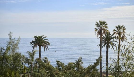 A louer APPARTEMENT T4 101 M2 TERRASSE PIEDS DANS L'EAU CANNES