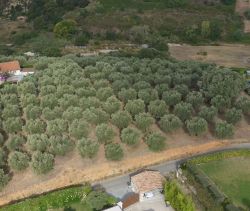 A vendre Somptueux ET Unique Terrain constructible avec vue Panoramique  CAGNES SUR MER