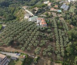 A vendre Somptueux ET Unique Terrain constructible avec vue Panoramique  CAGNES SUR MER