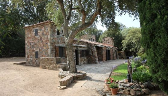 A vendre Magnifique PROPRIETE EN PIERRE 6 PIECES 150 M² SAINTE LUCIE DE PORTO VECCHIO