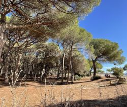 A louer APPARTEMENT T2 28 M2 BORD DE MER LA GRANDE MOTTE