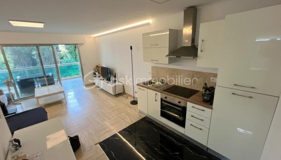 A louer STUDIO  32 M2 TERRASSE BORD DE MER CANNES