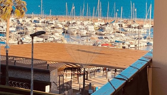 A louer STUDIO  27 M2 TERRASSE VUE MER CANNES